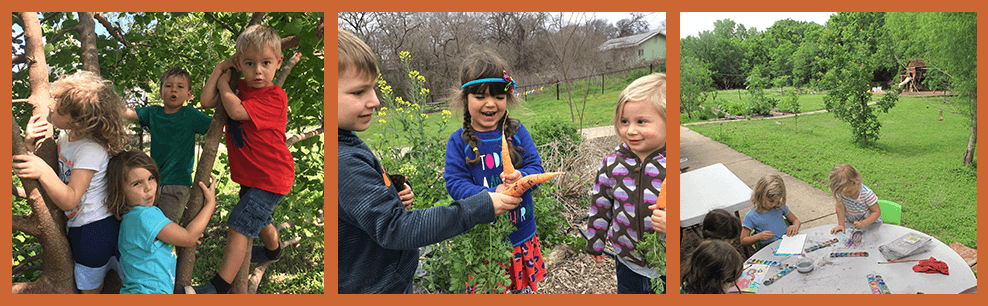 Los Amiguitos Spanish Camp