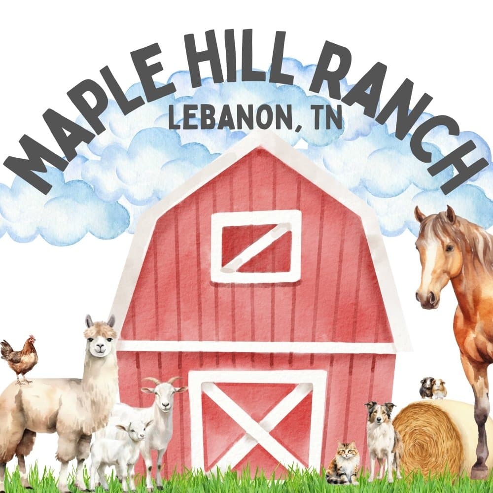 Maple Hill Ranch Camp