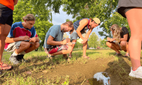 Natureversity summer school